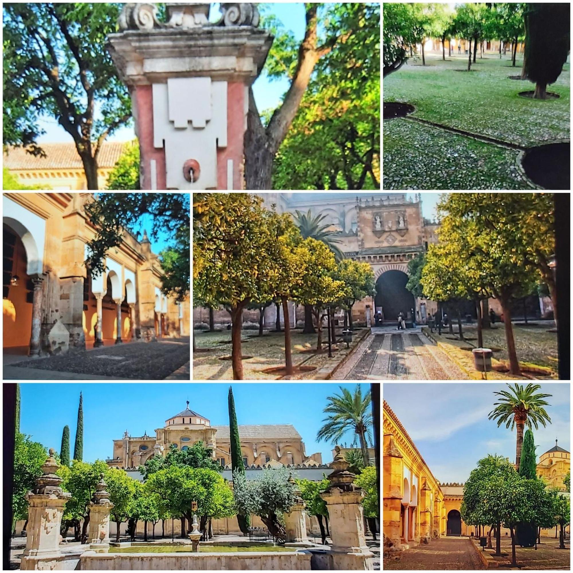 A 20 Metros De La Mezquita Catedral ,Apartamentos Turistico Cespedes 5 Cordoba Room photo
