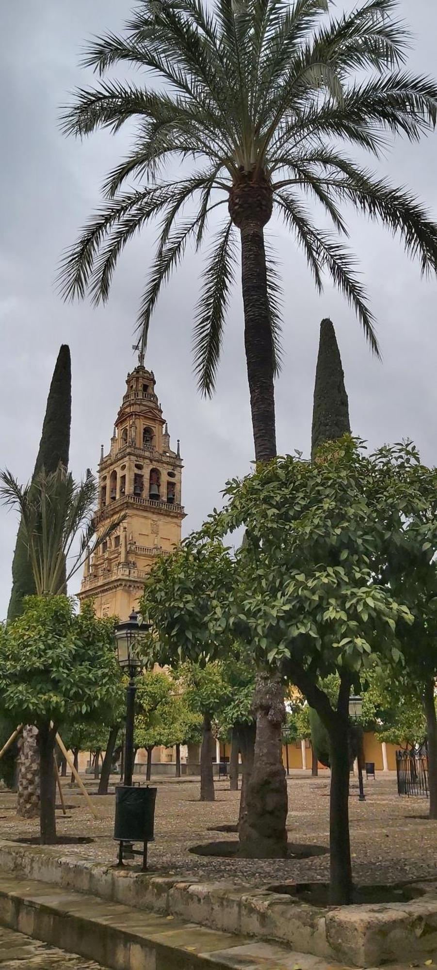 A 20 Metros De La Mezquita Catedral ,Apartamentos Turistico Cespedes 5 Cordoba Room photo